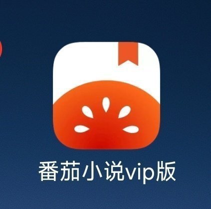 番茄免费小说解锁SVIP工具|最新纯净破解激活版免费下载