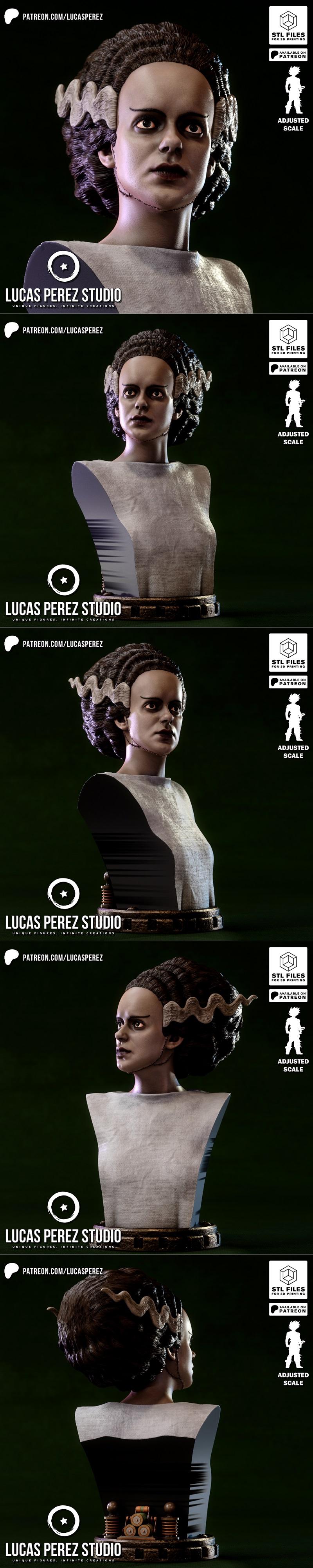 卢卡斯·佩雷斯  Frankenstein之妻 3D打印模型|Lucas Perez – The Bride of Frankenstein Bust – 3D Print Model STL