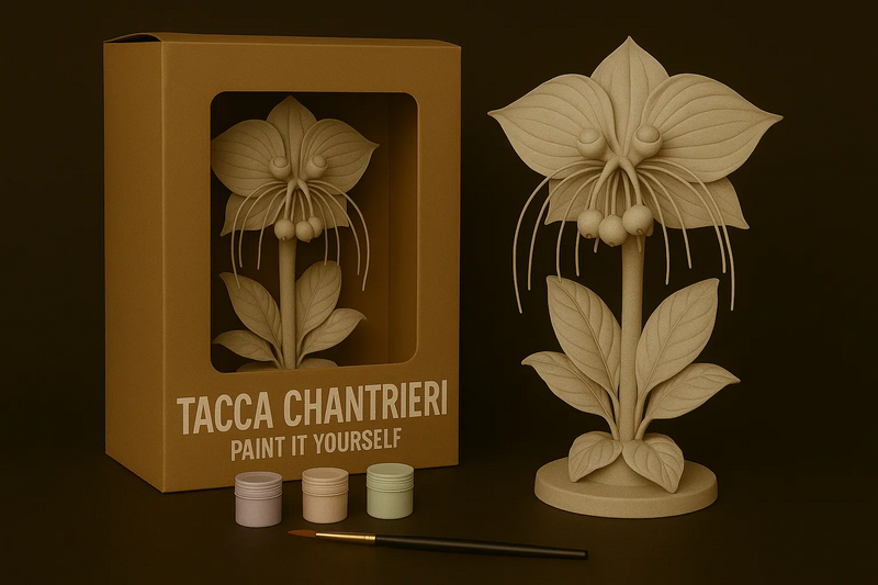 Tacca Chantrieri - 自绘涂装 - 3D打印模型|Tacca Chantrieri – Paint-It-Yourself – 3D Print Model