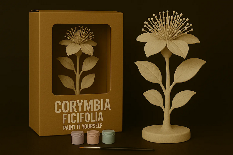 拟南芥·彩绘你的世界·3D打印模型|Corymbia Ficifolia – Paint-It-Yourself – 3D Print Model