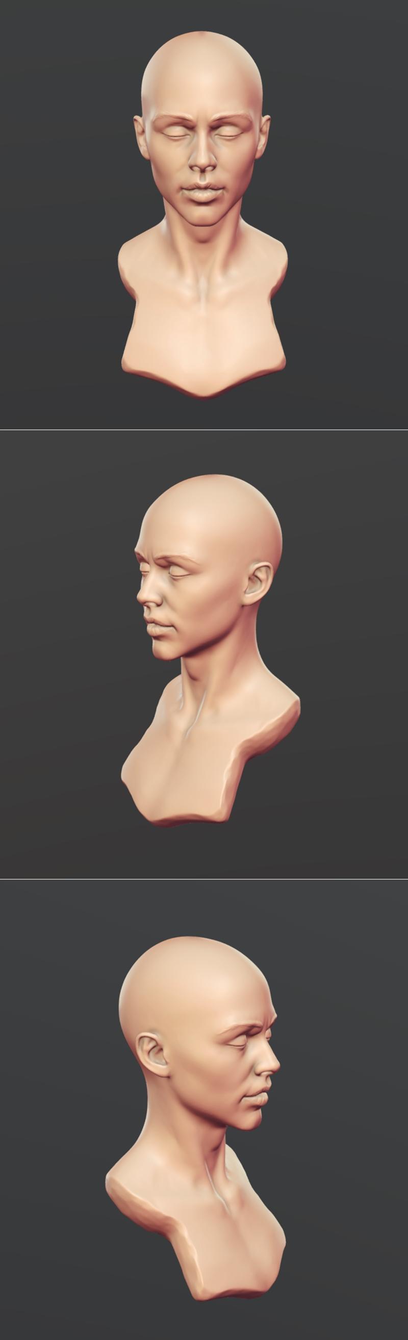 3D打印模型：女胸形态动漫角色参考|Female Bust – 3D Print Model STL