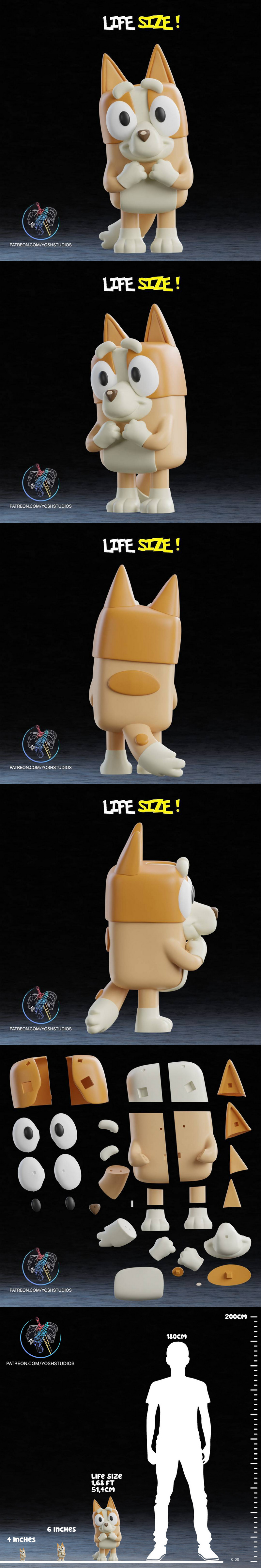 Life Size Bingo 3D打印模型|Life Size Bingo – 3D Print Model