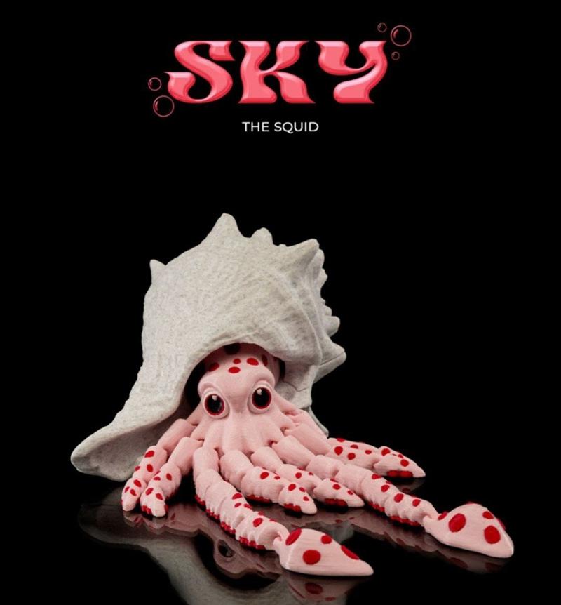 墨色鱿鱼——3D打印模型|Sky the Squid – 3D Print Model STL