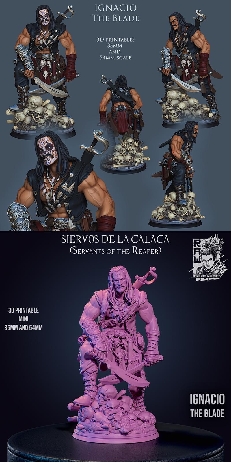 Ronin艺术工坊 - 3D打印模型 - 伊格纳西奥|Ronin Arts Workshop – Ignacio – 3D Print Model STL