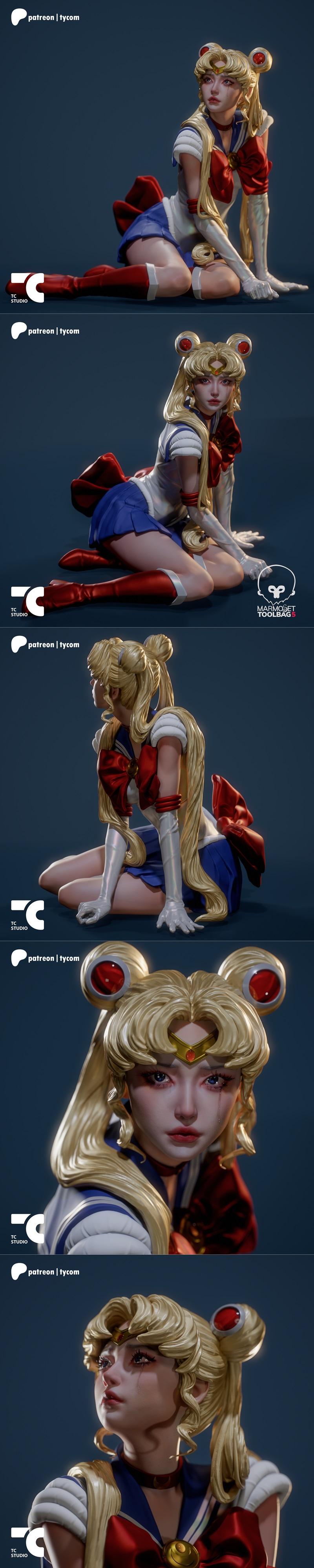 Sailor Moon 3D打印模型|TC Random Collectibles – Sailor Moon – 3D Print Model STL