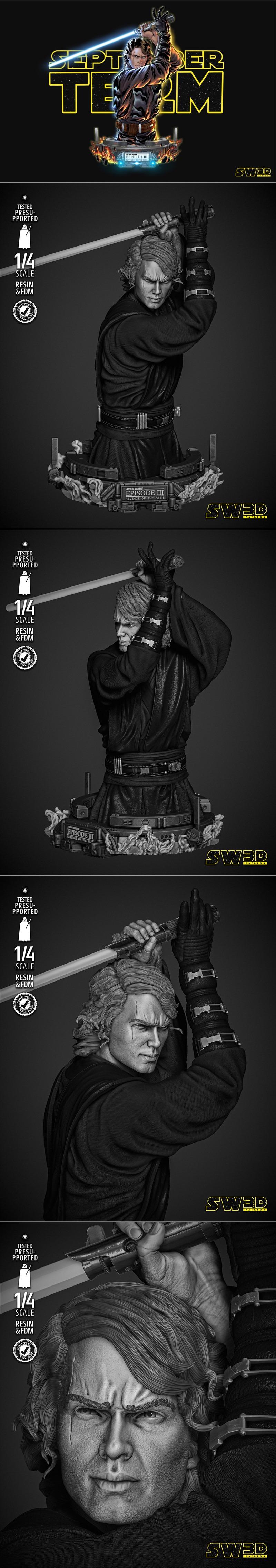 SW3D -《星球大战》阿纳金·天行者 3D打印模型|SW3D – Anakin Skywalker – 3D Print Model STL