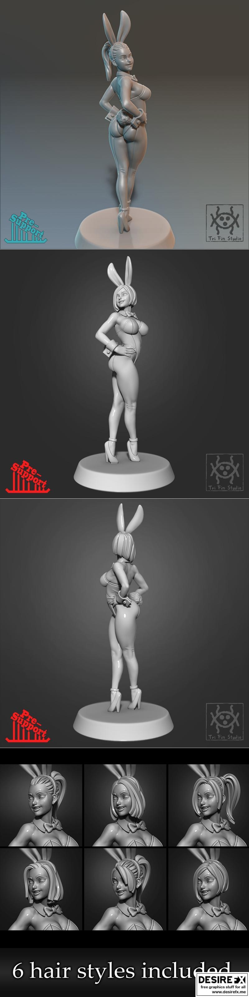Tri Fin Studio出品的3D打印兔女郎角色模型|Tri Fin Studio – Pin up – Bunny girl – 3D Print Model STL