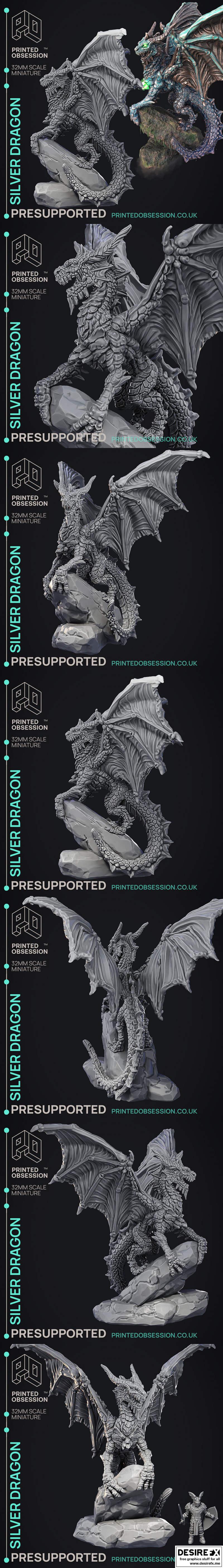 银龙——3D打印模型|Silver Dragon – 3D Print Model