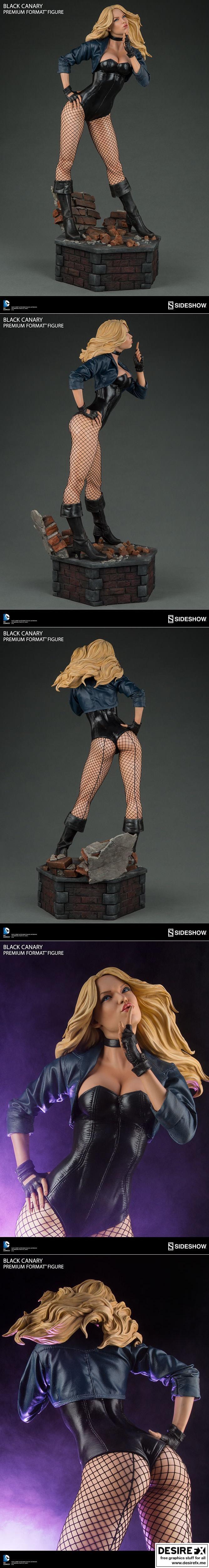 Black Canary – 3D Print Model STL