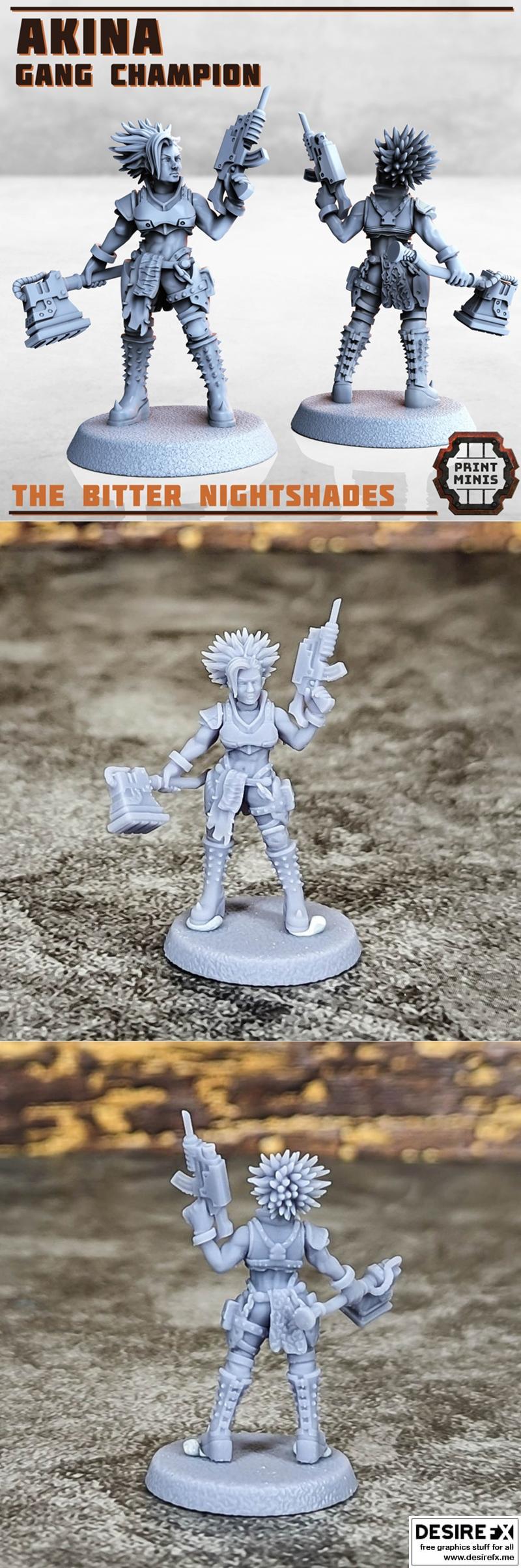 Akina 3D打印模型：Gang Champion角色造型|Print Minis – Akina – Gang Champion – 3D Print Model STL