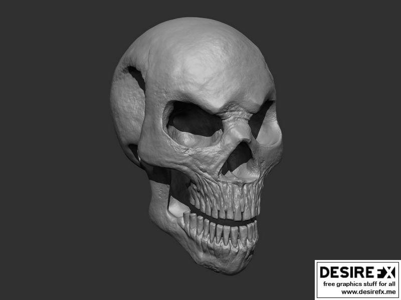 风格化骷髅 3D打印模型|Stylized Skull 3D print model