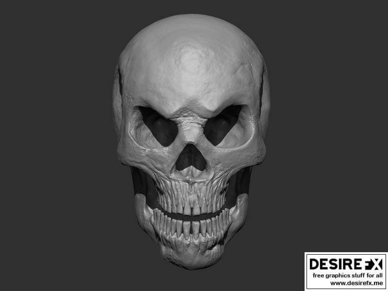 风格化骷髅 3D打印模型|Stylized Skull 3D print model