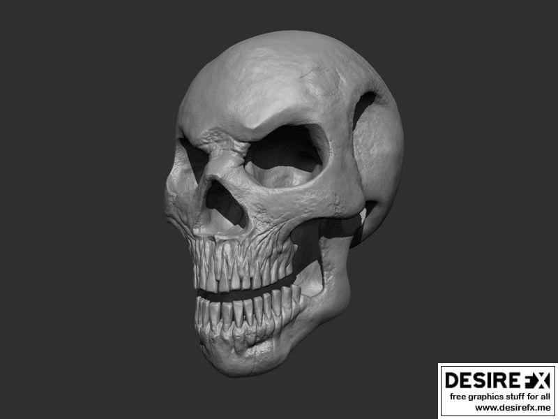 风格化骷髅 3D打印模型|Stylized Skull 3D print model