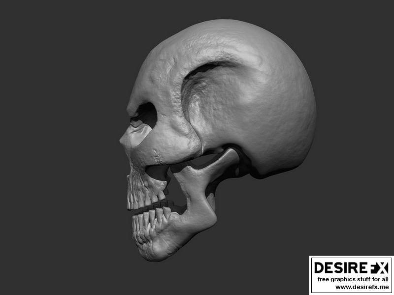 风格化骷髅 3D打印模型|Stylized Skull 3D print model