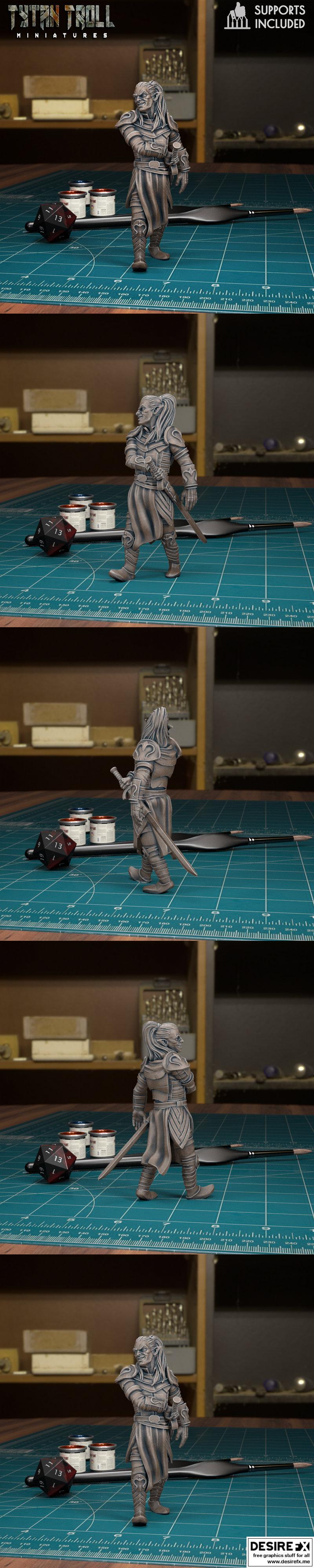 TytanTroll迷你模型：暮光精灵战士 Rahadin 3D打印版|TytanTroll Miniatures – Rahadin Dusk Elf Fighter – 3D Print Model