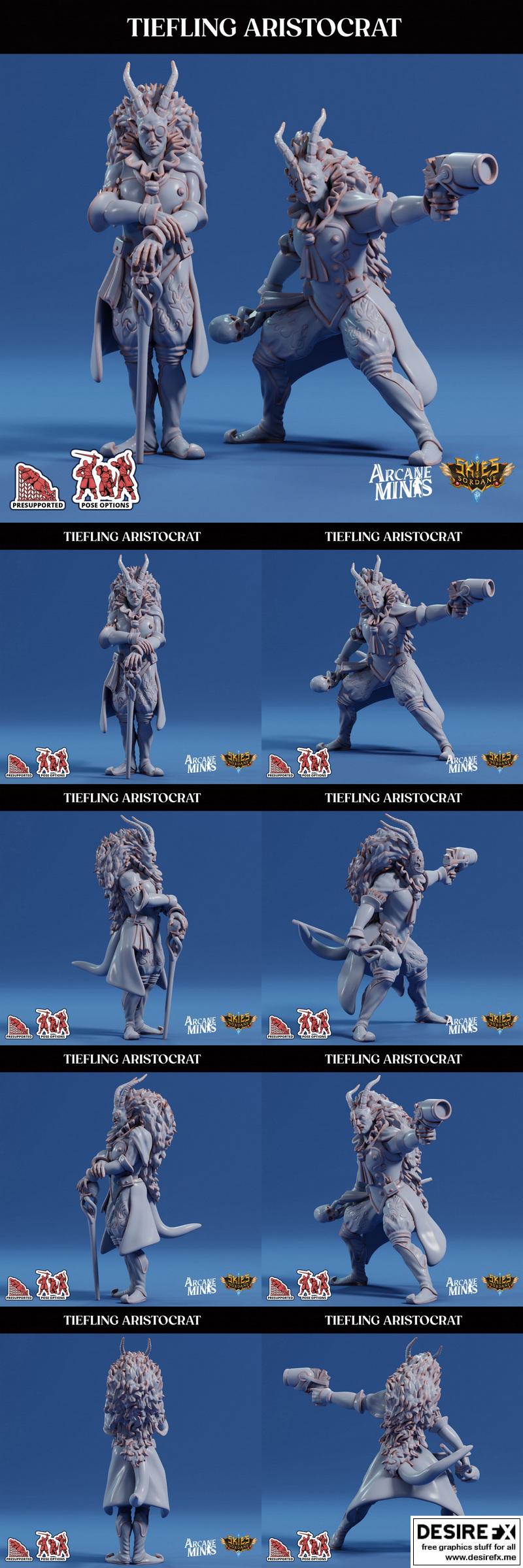 暗影贵族3D打印模型|Arcane Minis – Tiefling Aristocrat – 3D Print Model