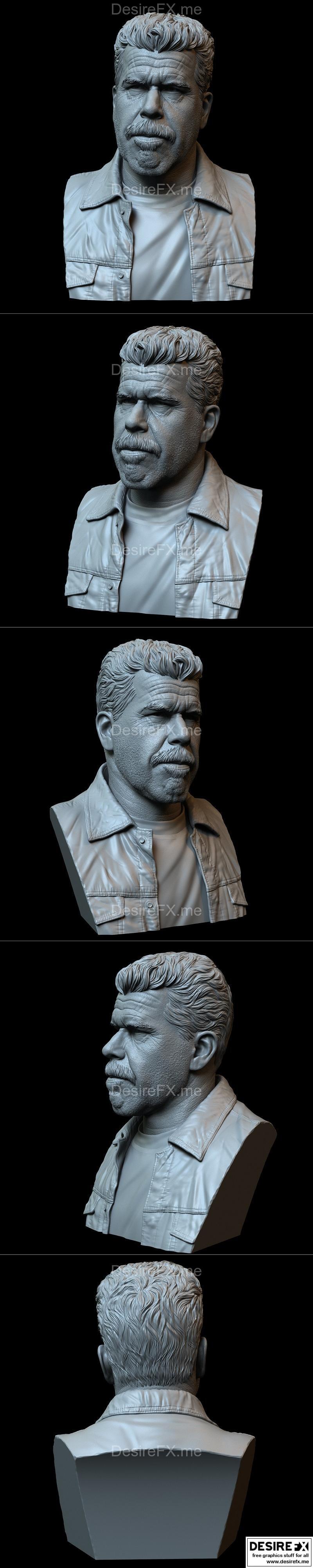 罗恩·佩尔曼 饰演 克莱·莫罗 3D打印模型|Ron Perlman as Clay Morrow Bust – 3D Print Model STL