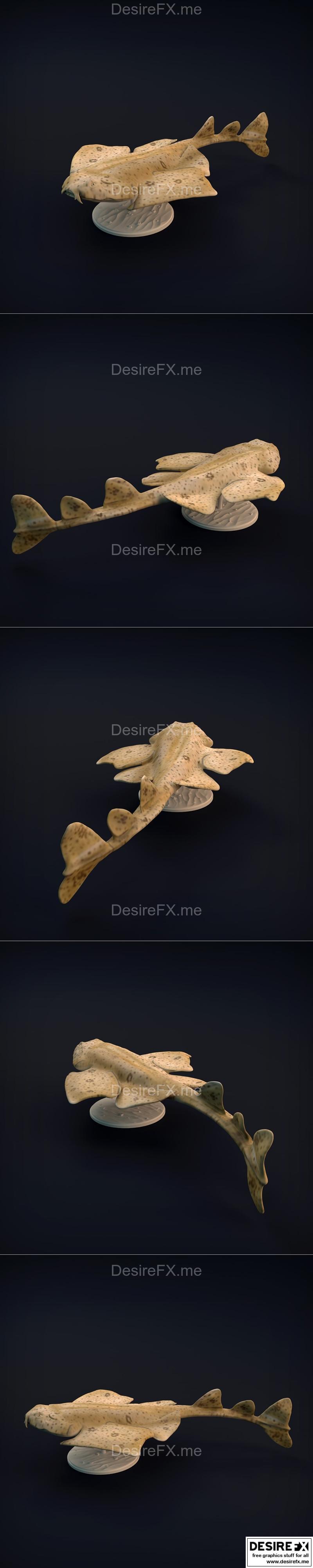 天使鲨 3D打印模型|Angel Shark – 3D Print Model STL