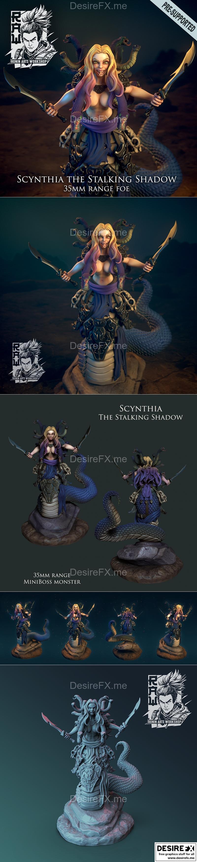 斯坎提亚的潜行影 3D打印模型|Ronin Arts Workshop – Scynthia The Stalking Shadow – 3D Print Model STL
