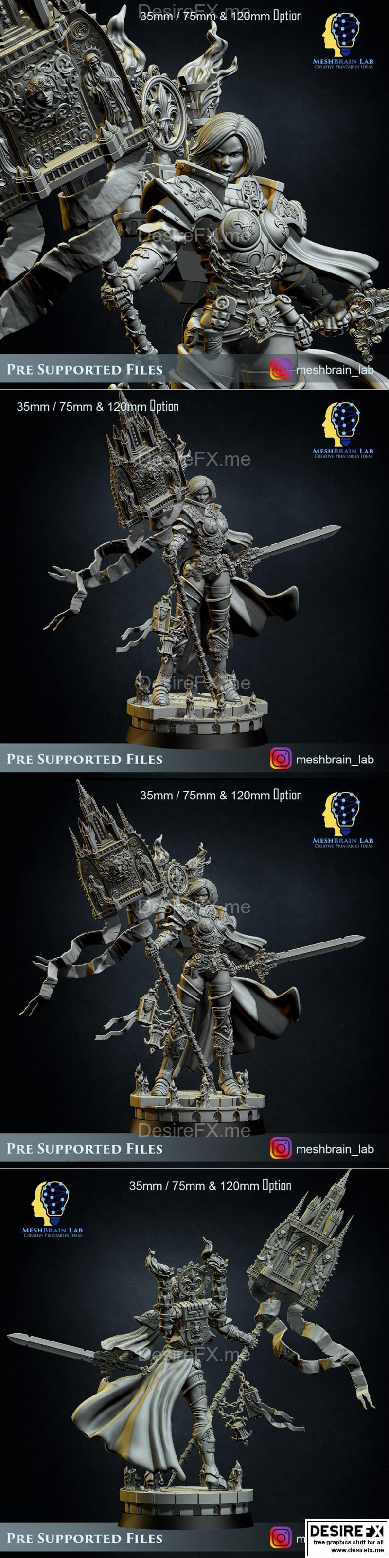 3D打印模型：Battle Sister Superior角色造型|Battle Sister Superior – 3D Print Model STL