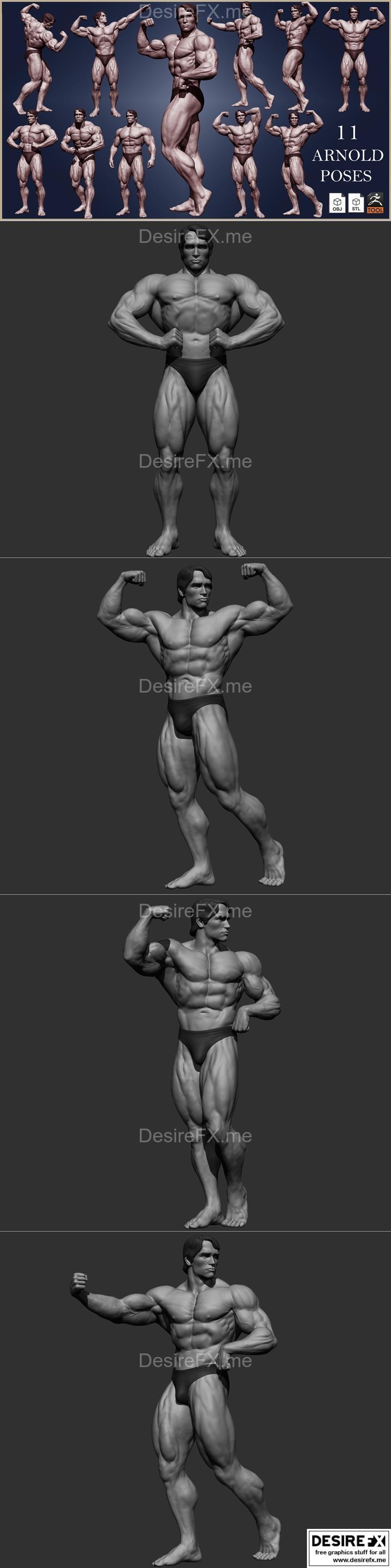 阿诺德·施瓦辛格 3D打印模型 STL|Arnold Schwarzeneg – 3D Print Model STL