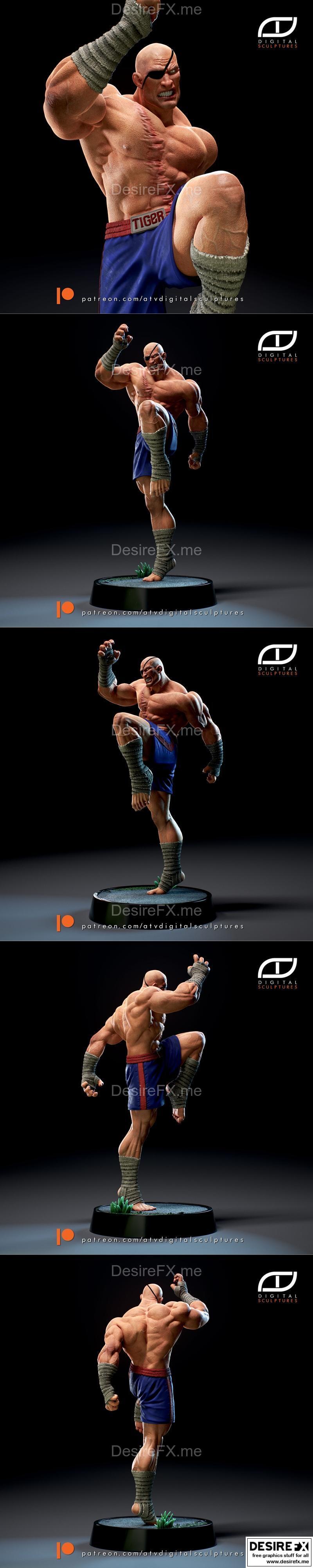 萨加特 - 街头霸王 - 3D打印模型|Sagat – Street Fighter – 3D Print Model STL