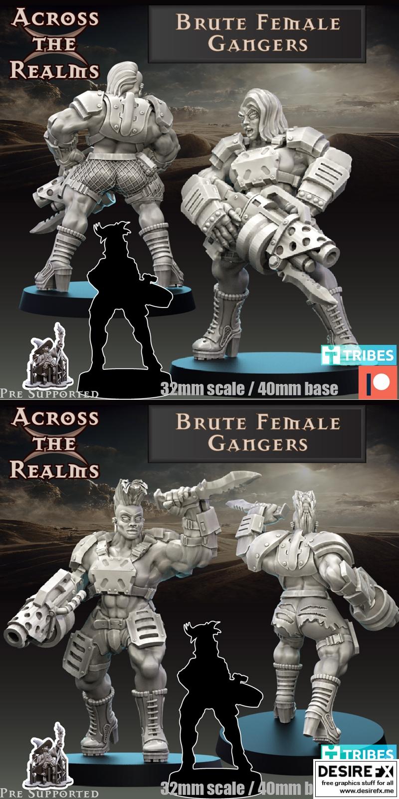 跨域之战——女战士机械体 3D打印模型|Across the Realms – Brute Female Gangers – 3D Print Model STL