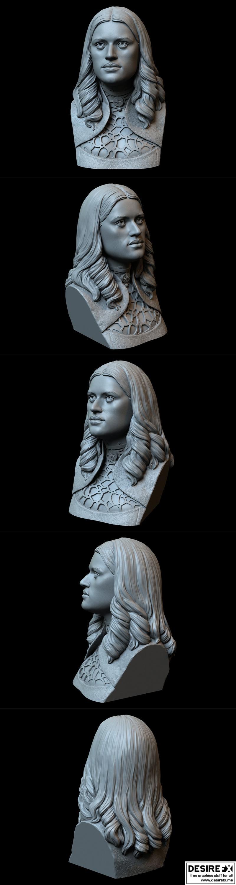 《巫师：永恩伯格的伊恩菲尔》3D打印模型|Yennefer of Vengerberg from The Witcher – 3D Print Model STL