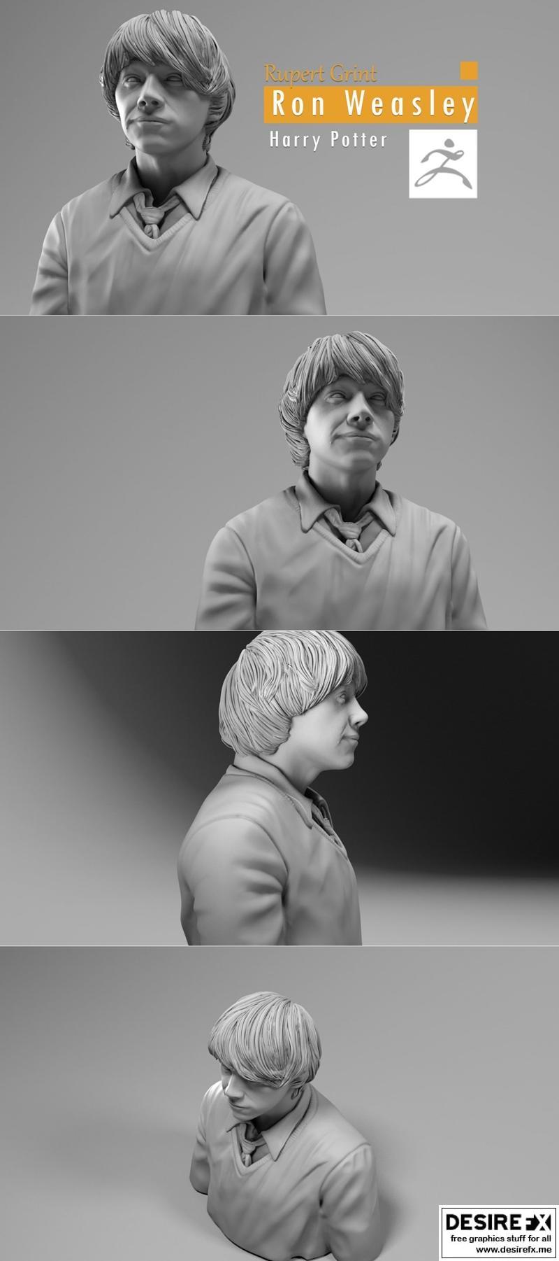 哈利波特罗恩韦斯莱3D打印模型|Rupert Grint – Ron Weasley – Harry Potter – 3D Print Model STL