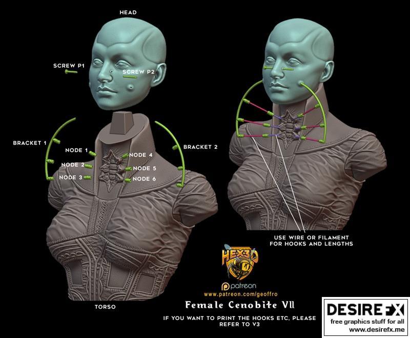 Hex3D - 亡灵女修女v2 - 3D打印模型|Hex3D – Female Cenobite v2 – 3D Print Model STL