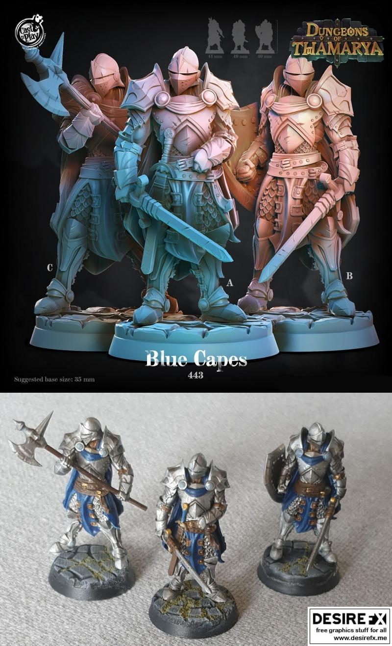 泰姆亚地下城 Blue Capes 3D打印模型|Cast N Play – Dungeons of Thamarya – Blue Capes – 3D Print Model STL