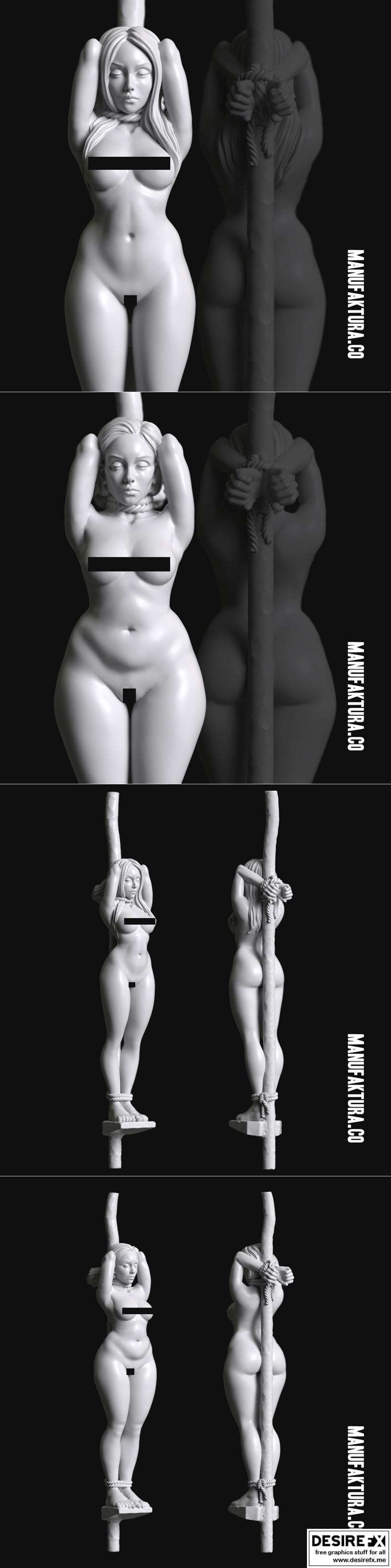系列55与57 - 被绑在桩上的女性囚犯奴隶 - 3D打印模型|Sub Series 55 and 57 – Naked and Tied to Pole Female Prisoner Slave – 3D Print Model STL