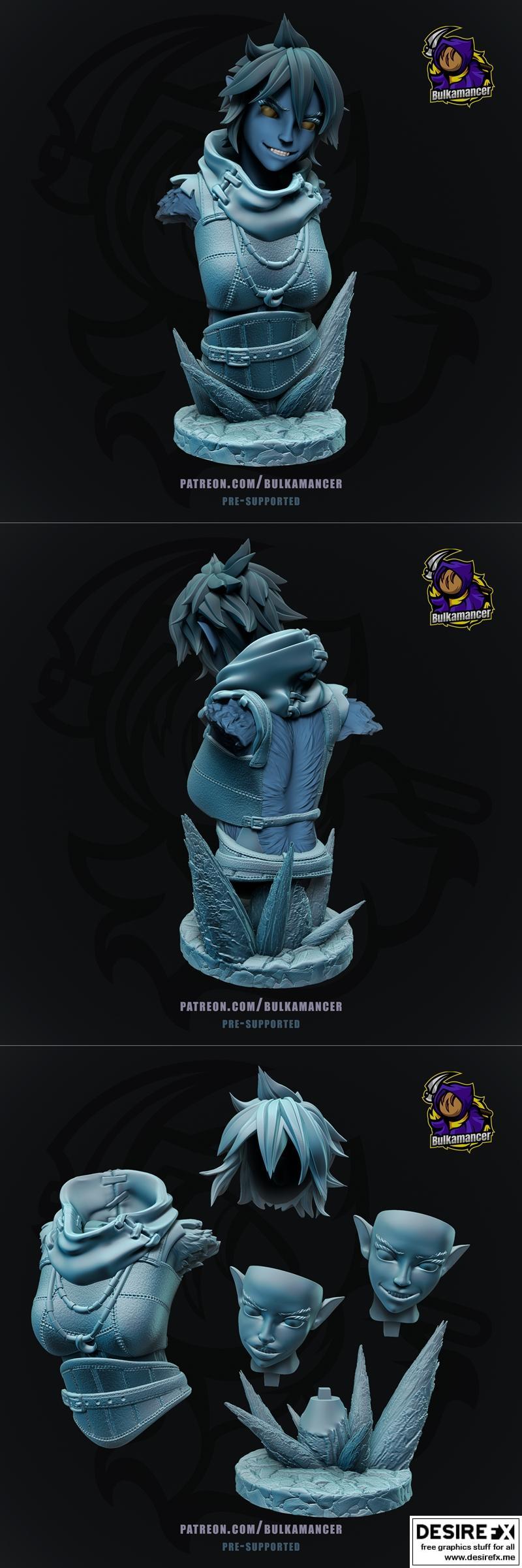 威德亚 – 路径开拓者 – 正义之怒版 3D打印模型|Wenduag – Pathfinder – Wrath of the Righteous Bust – 3D Print Model STL
