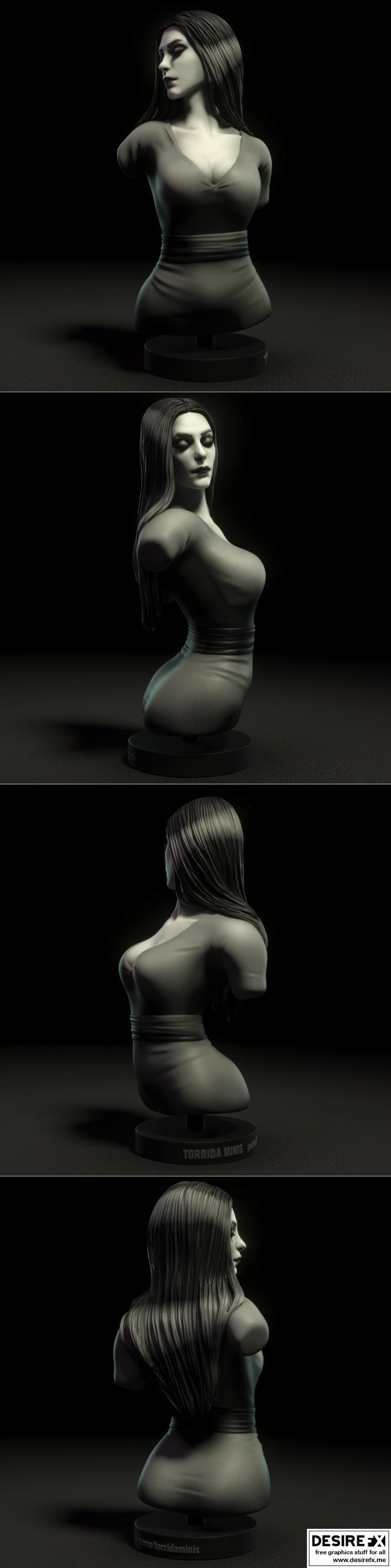 Torrida Minis 3D打印模型|Practice bust – Torrida Minis – 3D Print Model STL