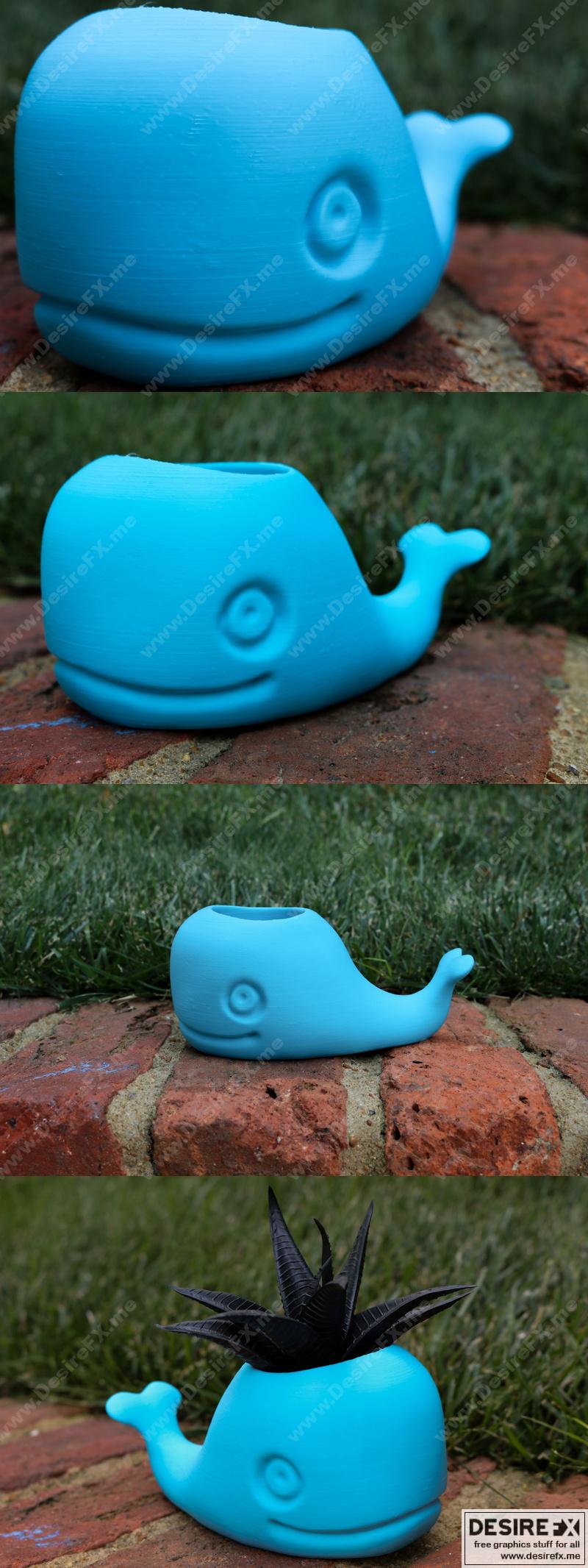 萌鲸花盆 - 3D打印模型|Cute Whale Planter – 3D Print Model