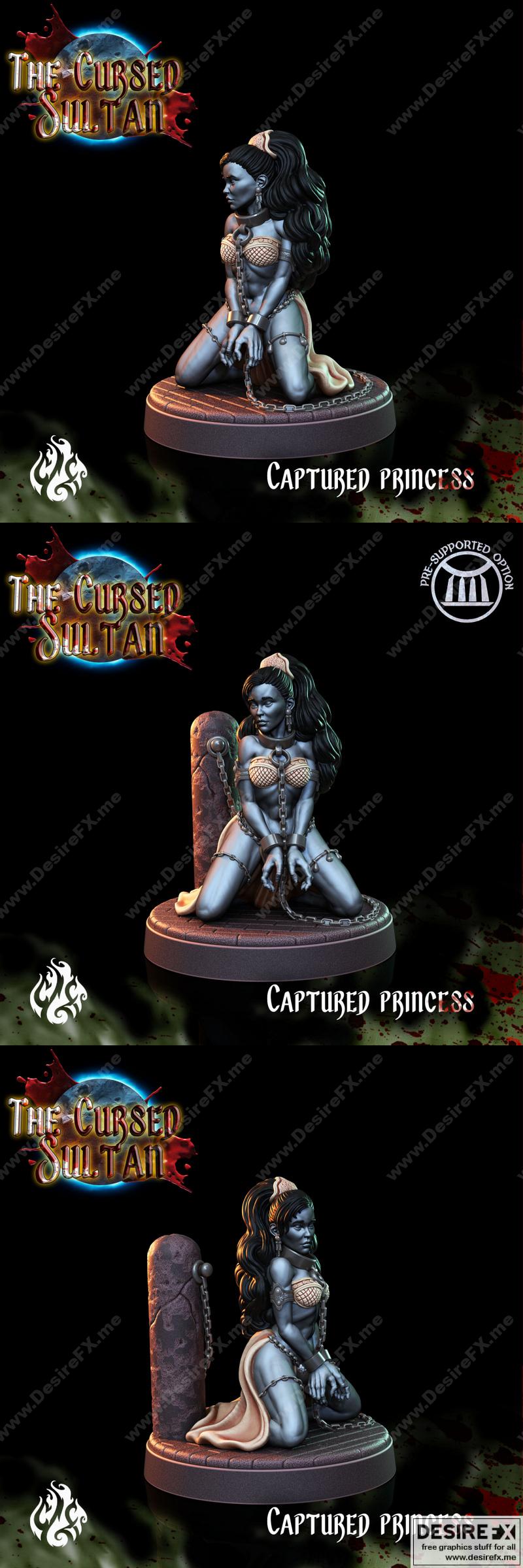 诅咒苏丹——被俘公主 3D打印模型|The Cursed Sultan – Captured Princess – 3D Print Model