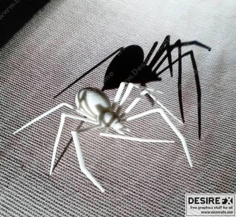 恐怖节日常蜘蛛3D打印模型|Creepy Halloween Spiders
