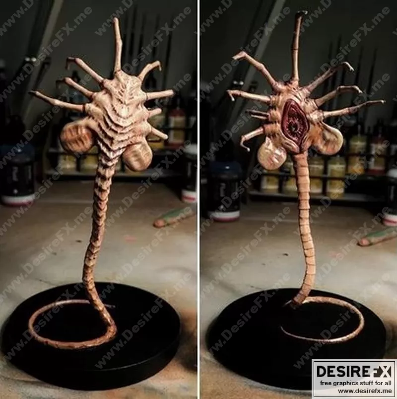 外星面颊附着体 - 3D打印模型|Alien Facehugger – 3D Print Model STL