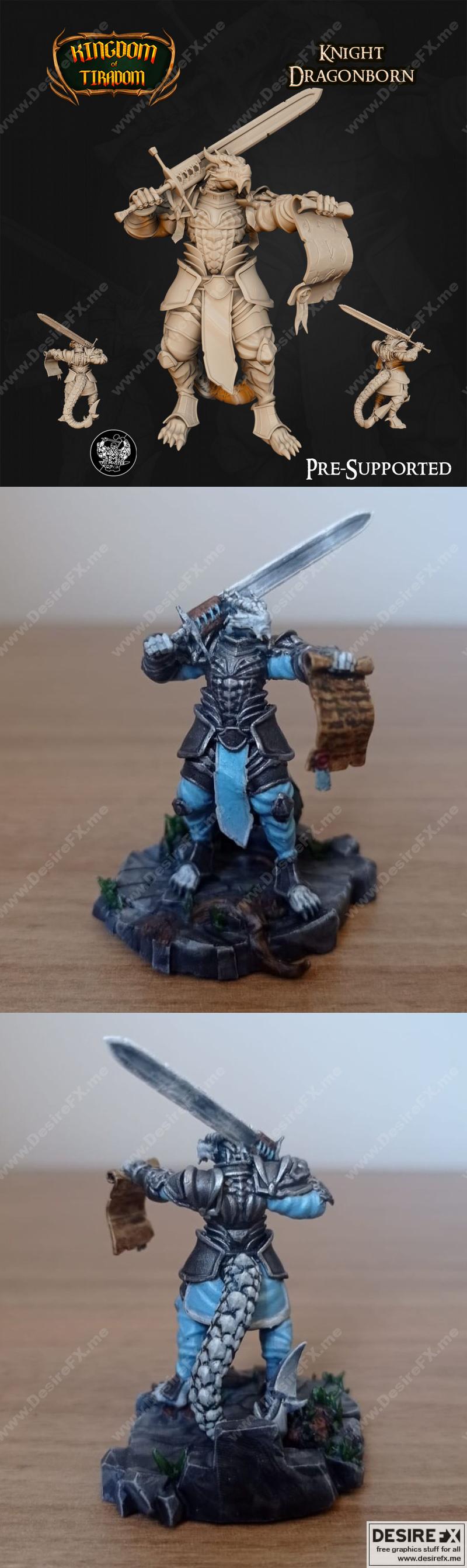 提拉多姆王国——龙裔骑士 3D打印模型|Kingdom of Tiradom – Dragonborn Knight – 3D Print Model