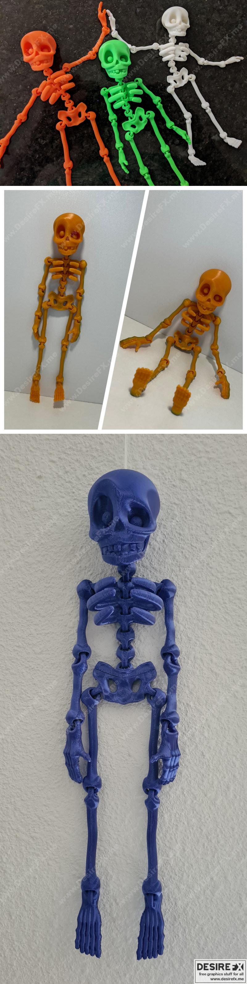 Flexi骨架 - 3D打印模型|Flexi Skeleton – 3D Print Model