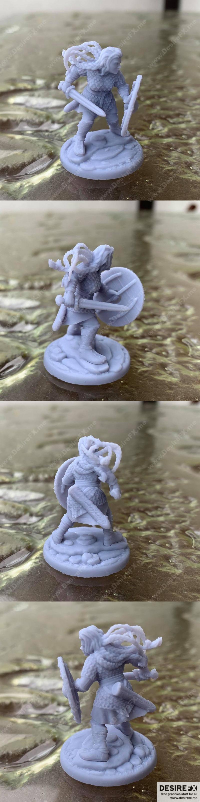 盾之女领主艾达 — 3D打印模型|Shieldmaiden Chieftain Aidda – 3D Print Model