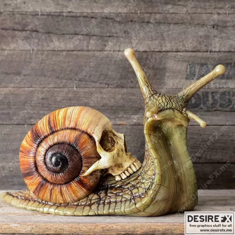 骷髅螺母 3D打印模型|Skull snail – 3D Print Model STL