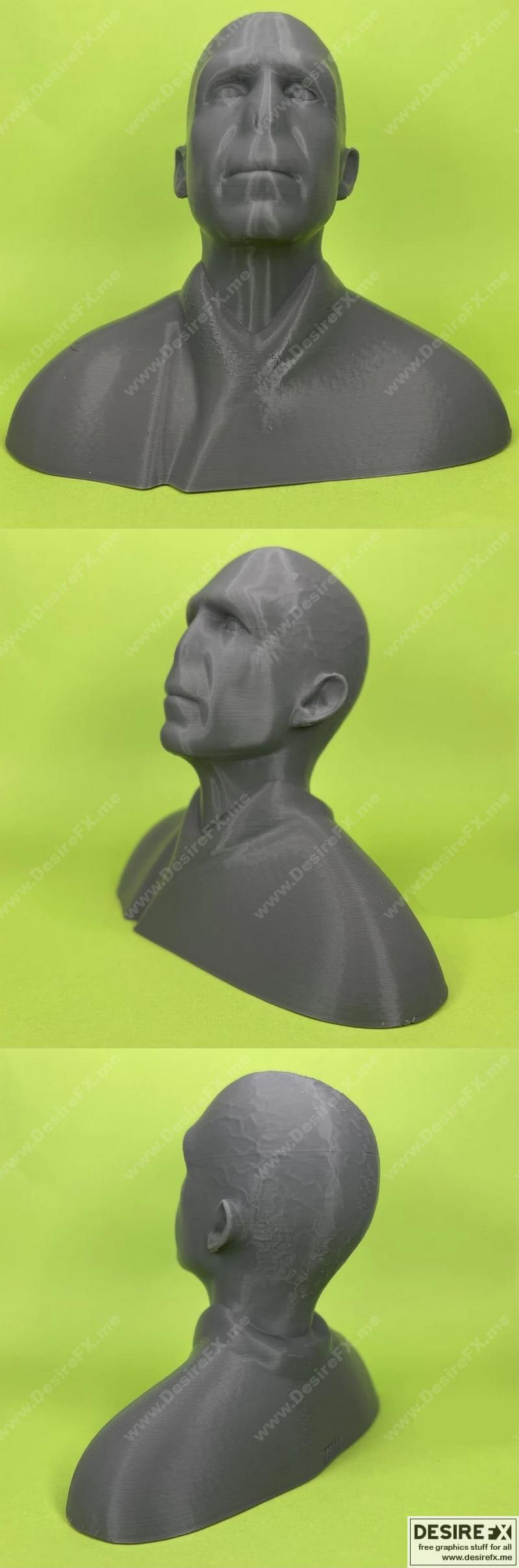 伏地魔3D打印模型|Lord Voldemort Bust- 3D Print Model STL