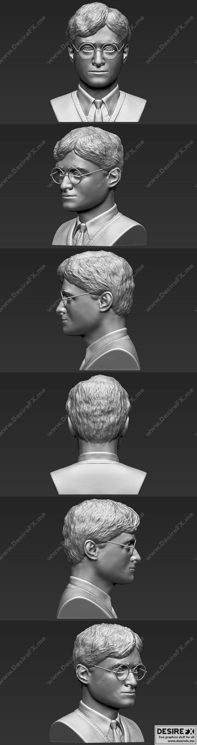哈利波特3D打印模型|Harry Potter Bust – 3D Print Model STL