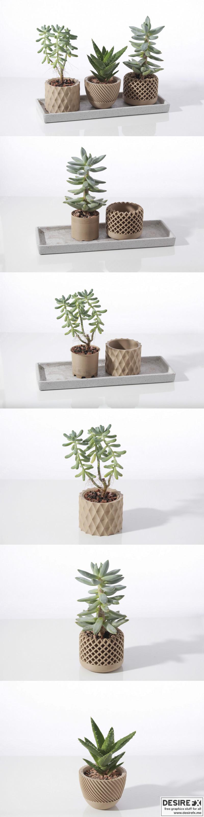 现代几何风格多肉植物盆栽 3D打印模型|Modern geometric – Succulent plant pot – 3D Print Model STL