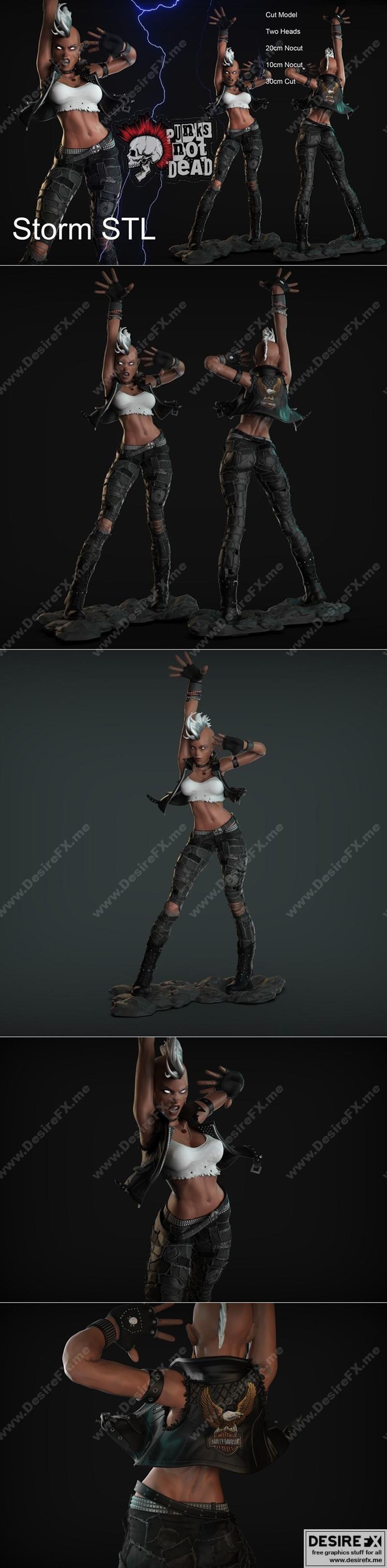 风暴之眼朋克 3D打印模型|Storm Iroquoise Punk – 3D Print Model STL