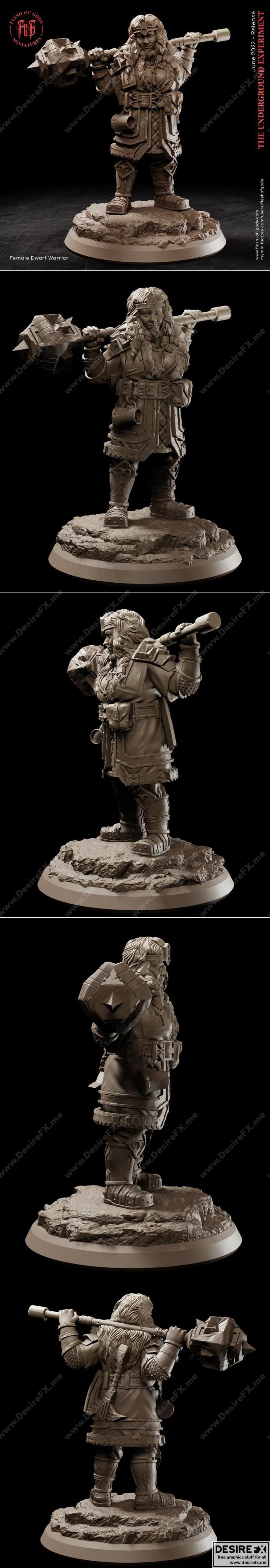 矮人女英雄 3D打印模型|Hero Female Dwarf – 3D Print Model STL