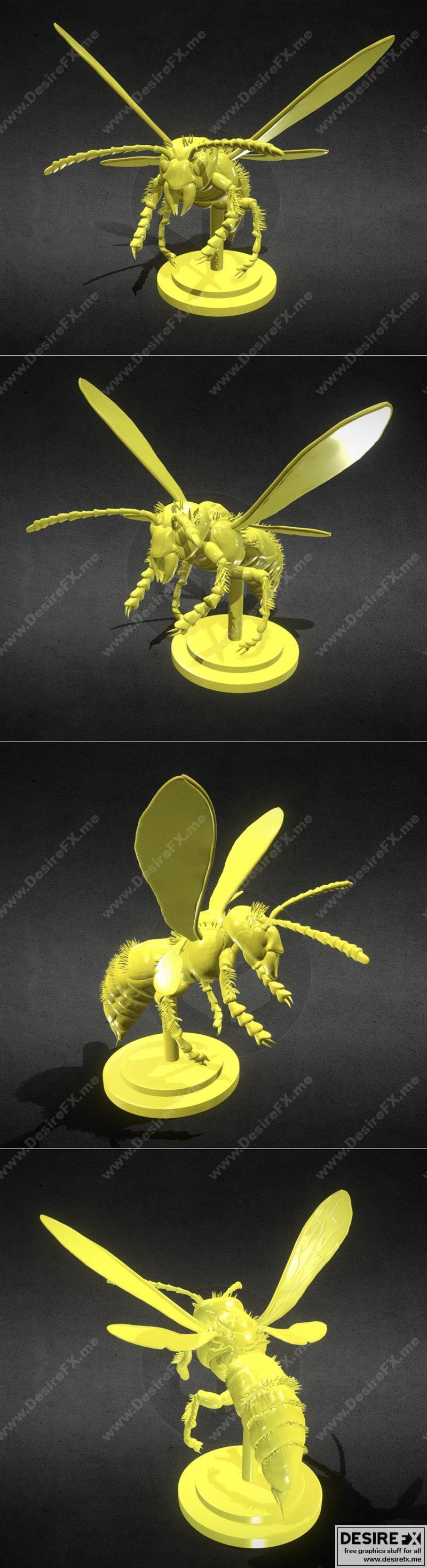 亚洲虎蜂雕塑 3D打印模型 STL|Murdering Asian Hornet Sculpture – 3D Print Model STL