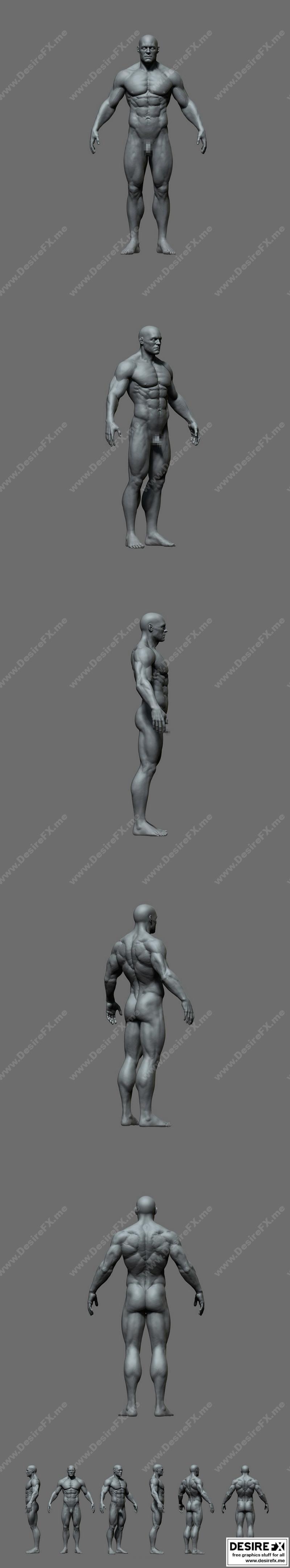 3D打印男体模型：动漫游戏角色精细还原|Male Anatomy Model