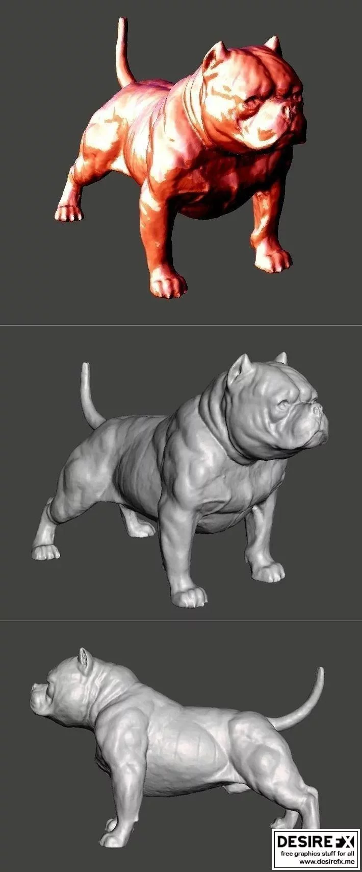 美国斗牛犬3D打印模型|American Bully Dog